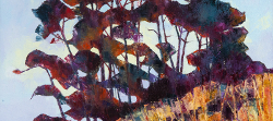 Pine Study, Valley Road, Elgin | 2019 | Oil on Canvas | 44 x 60 cm